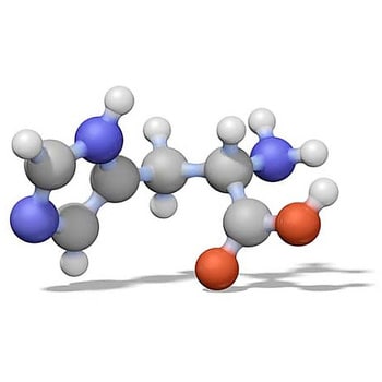 Purospher® STAR RP-18 封端 5μm Hibar® RT 125-2 HPLC 柱 150596 1STMerck(默克密理博)1.50596.0001